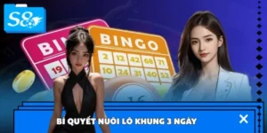 Bí Quyết Nuôi Lô Khung 3 Ngày Tại S8
