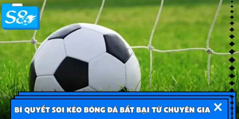 Bí quyết soi kèo bóng đá bất bại từ chuyên gia Bí quyết soi kèo bóng đá bất bại từ chuyên gia
