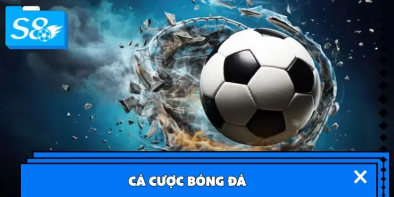 Cá cược bóng đá