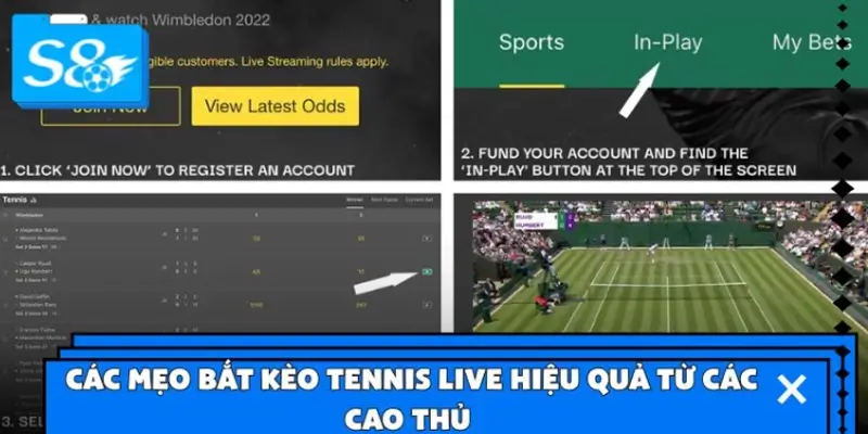 Các mẹo bắt kèo Tennis Live hiệu quả từ các cao thủ Các mẹo bắt kèo Tennis Live hiệu quả từ các cao thủ