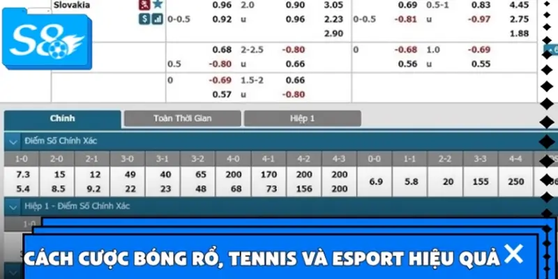 Cách chơi cược bóng rổ, tennis và esport hiệu quả