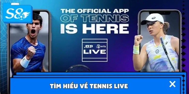 Tìm hiểu về Tennis Live Tìm hiểu về Tennis Live