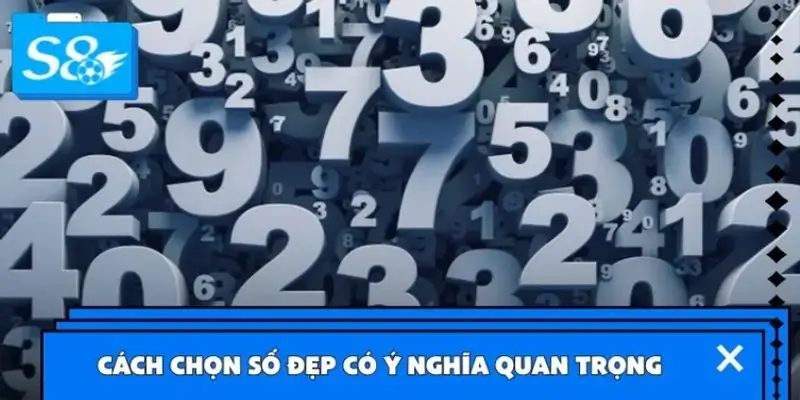 Vì sao người chơi cá độ nên biết cách chọn số đẹp?