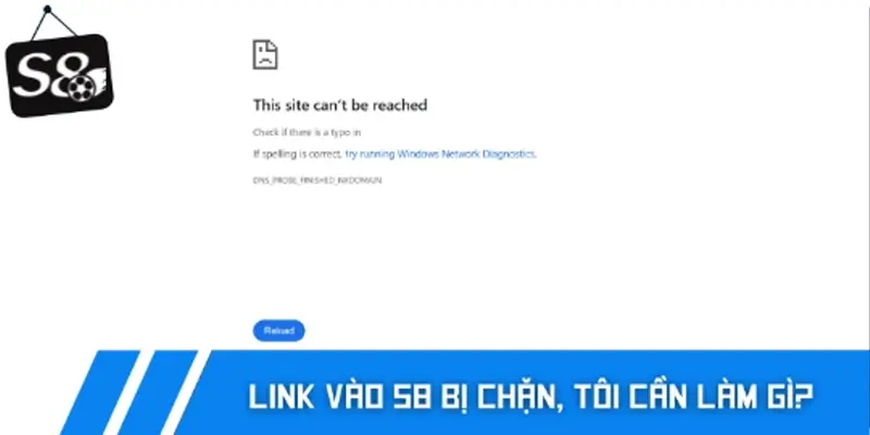 Link vào S8 bị chặn, tôi cần làm gì?